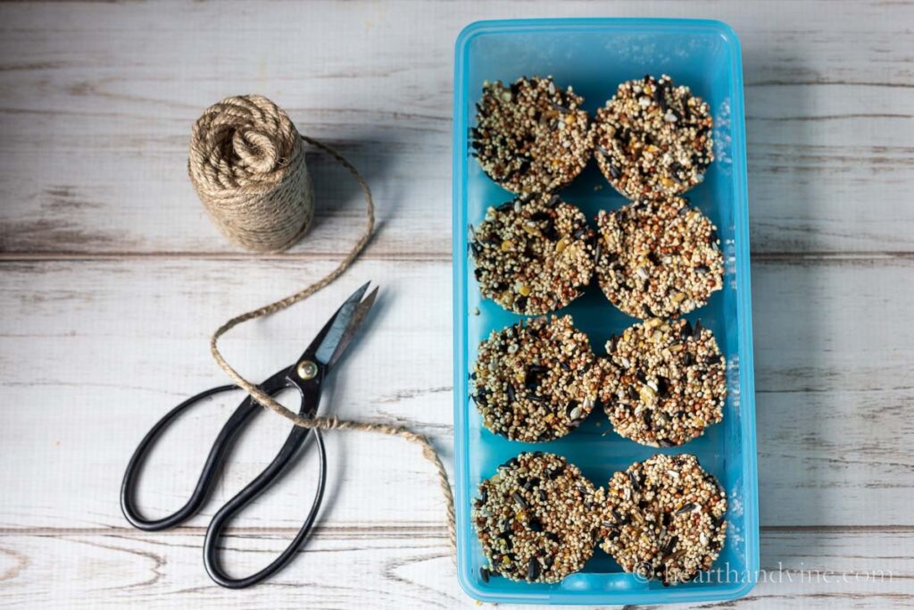 DIY Birdseed Cakes Hearth And Vine diy-birdseed-cakes-hearth-and-vine