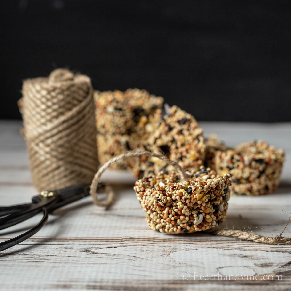 Birdseed cake with twine through the middle and scissors on the side.