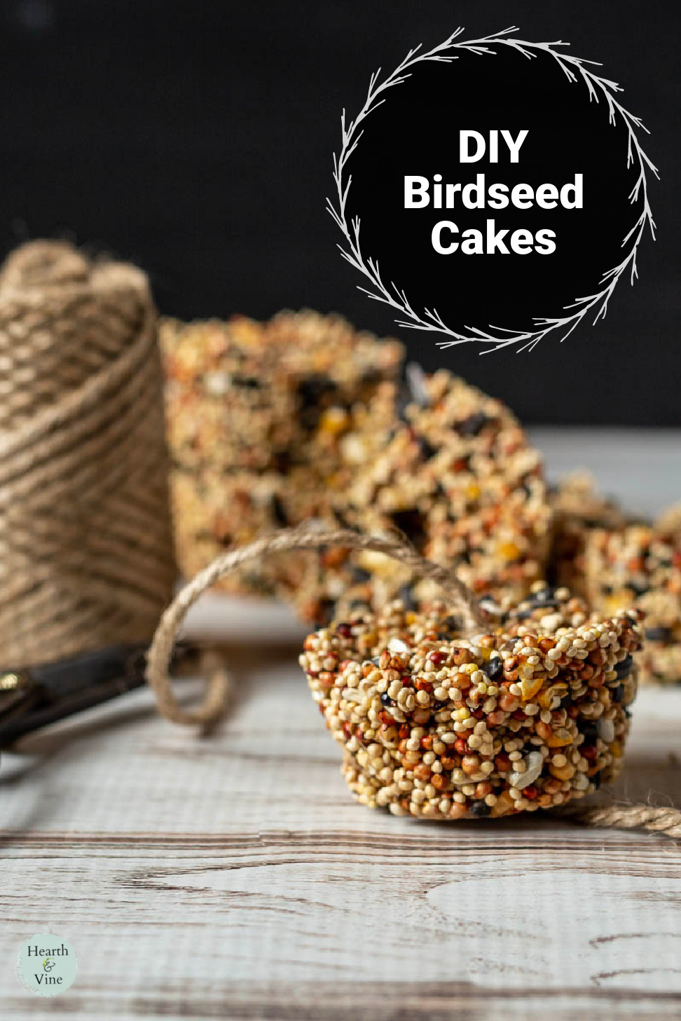 Birdseed cakes with twine through the middle.