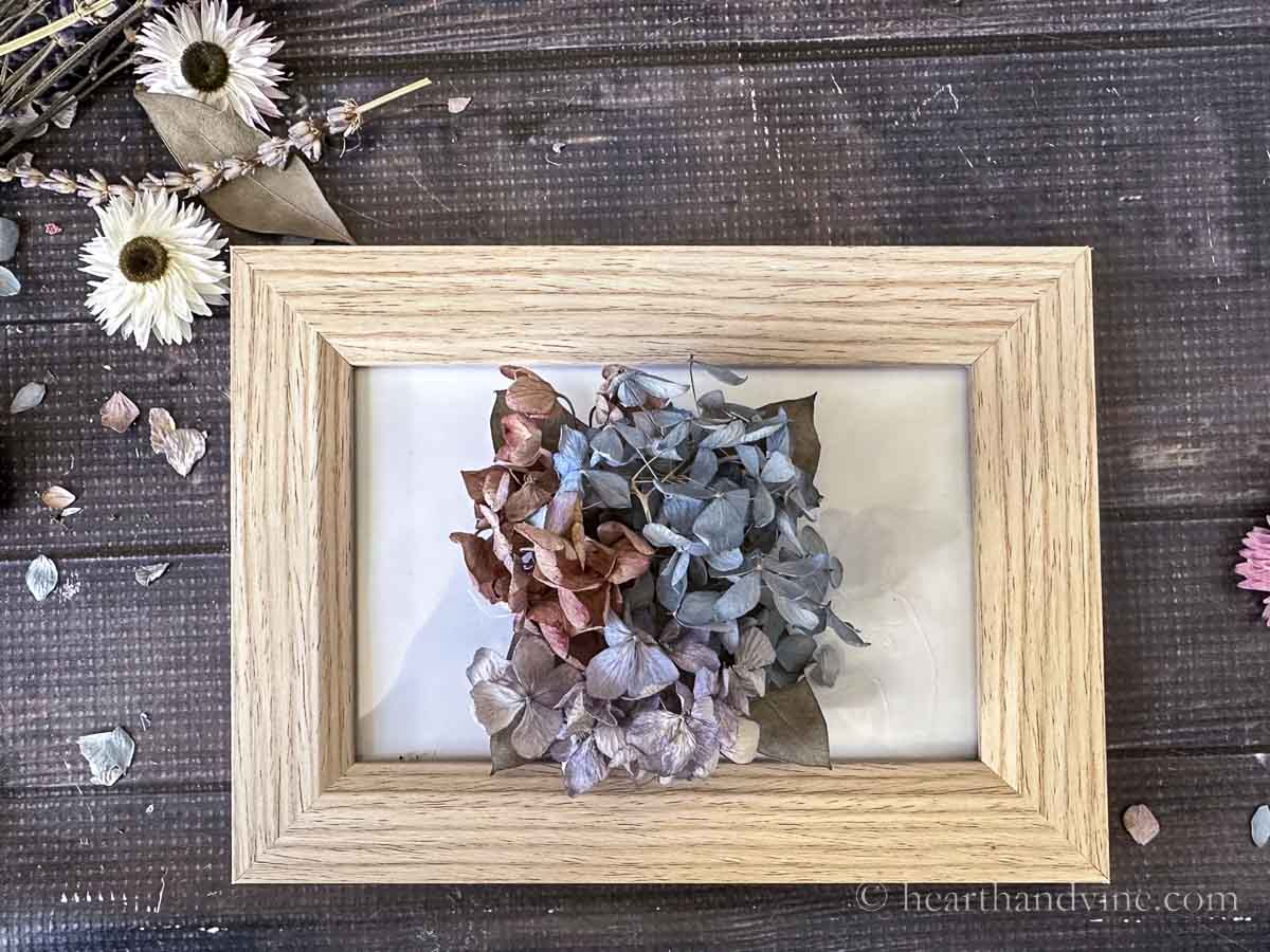 Blue, purple and red dried hydrangea flowers glued to the glass of a picture frame.