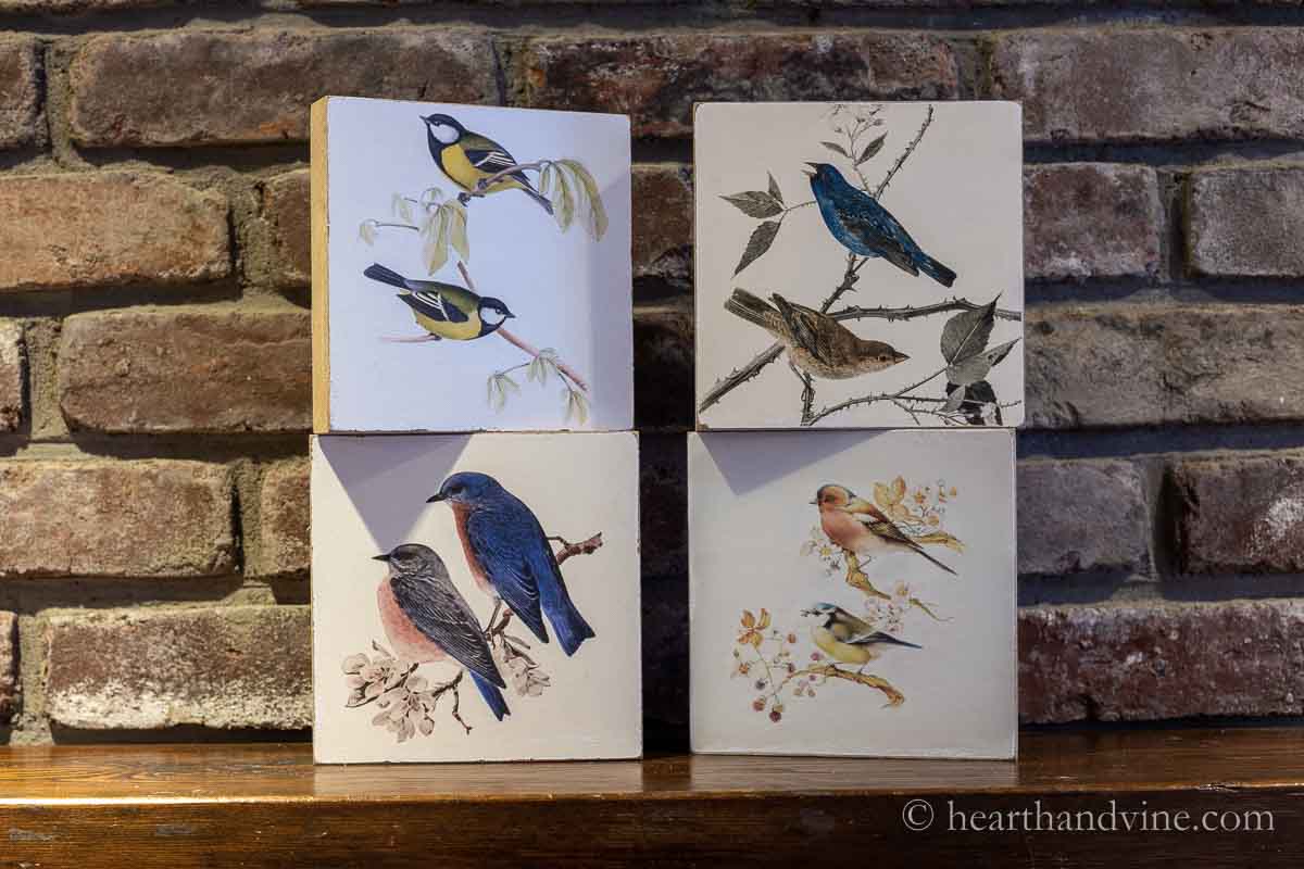 Four small botanical bird prints on 6 inch wood blocks on a mantel stacked two and two.