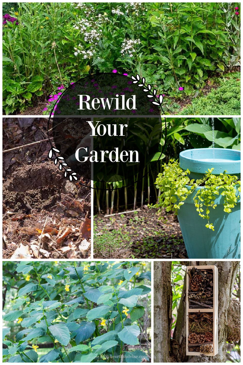 Collage of garden pictures including a compost pile, a bug hotel, a water fountain , flowers and jewelweed.