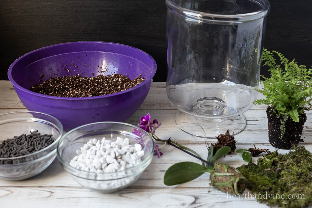 Supplies for an open terrarium including an open tall glass vessel, potting soil, plants, rocks, charcoal bits and moss.