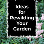 A picture of a garden in flower with a graphic overlay saying Ideas for Rewilding Your Garden.