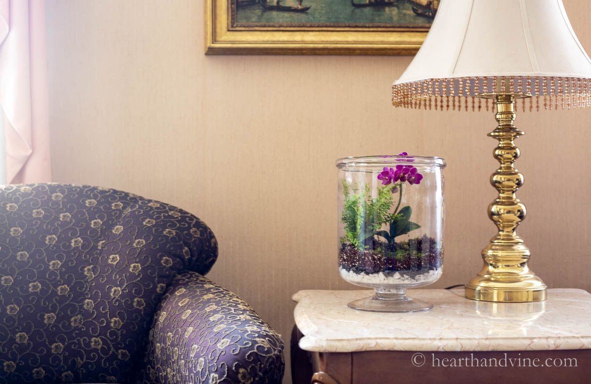 Open terrarium with an bright pink orchid, a fern, moss and other plants on a side table with a large lamp.