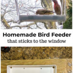 Window bird feeder with two birds eating over the tray of the bird feeder showing drainage holes.