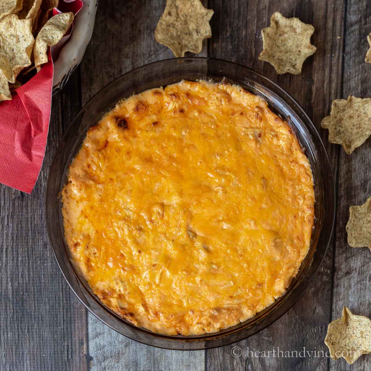 Buffalo chicken dip with a basket of scoops and a few scattered around.