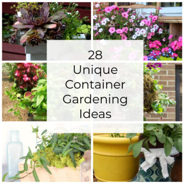 Collage of unique planters with text overlay saying 28 unique container gardening ideas.