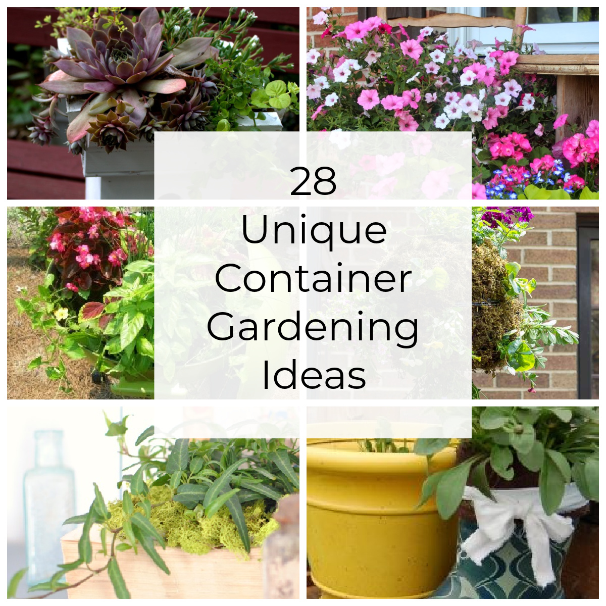 Collage of six out of 28 unusual container gardens.