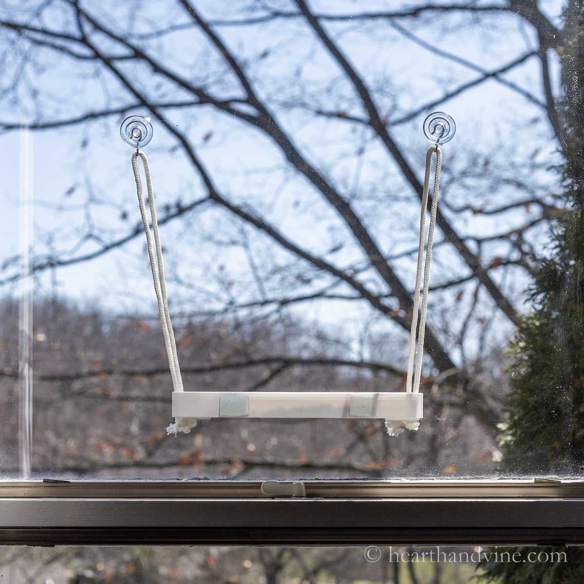 DIY window bird feeder with white clothesline rope and clear velcro.