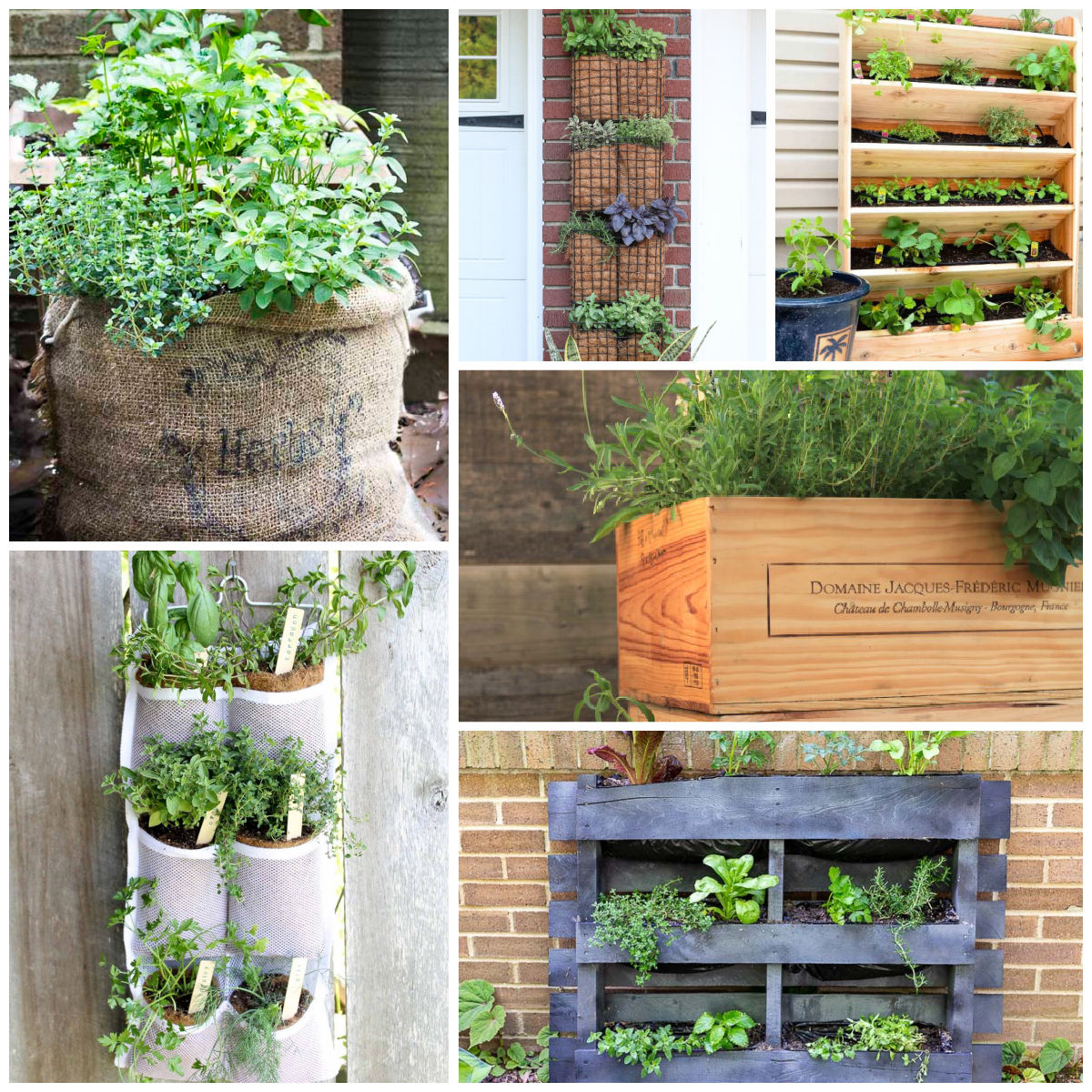 Six different DIY container herb garden ideas in a collage.