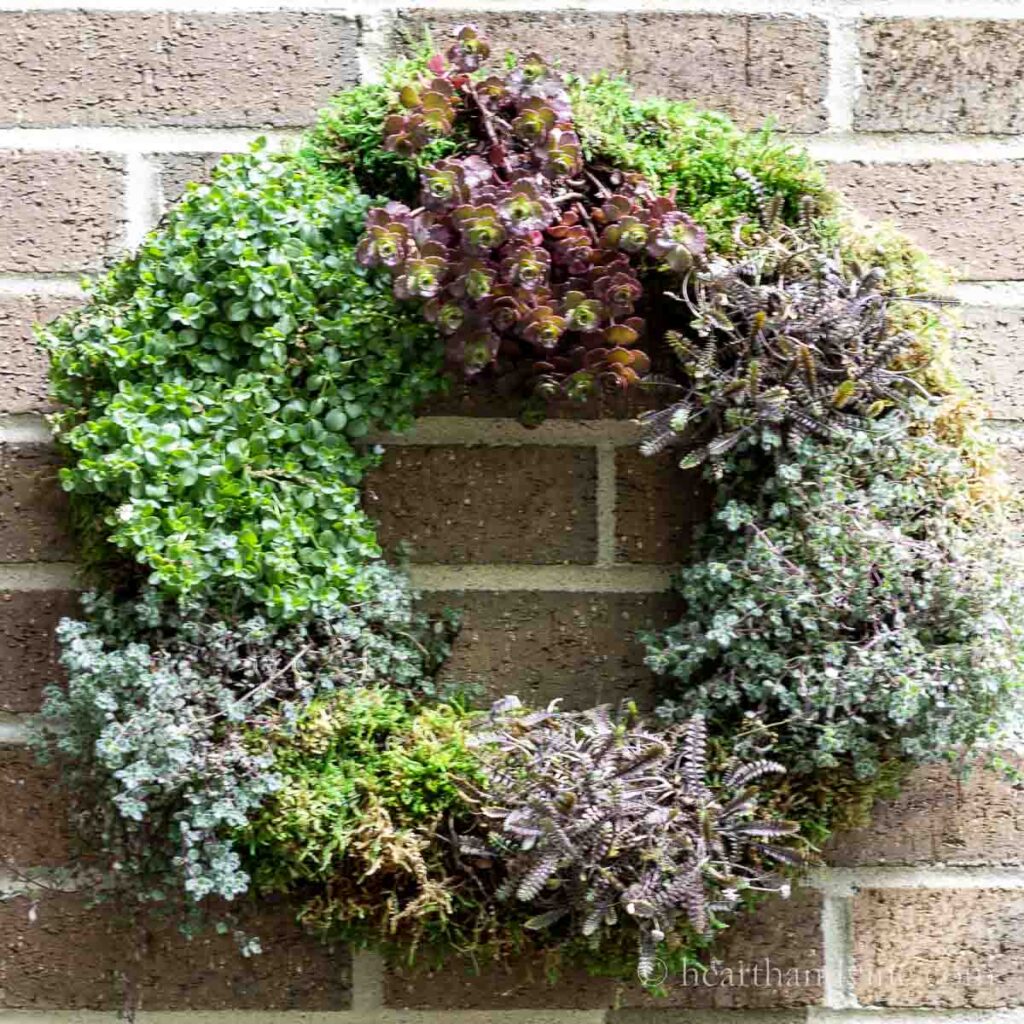 How To Make A Living Wreath