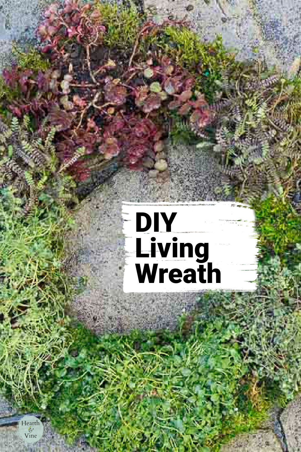 Living wreath with herbs and ground cover lying on the cement floor.