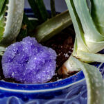 Purple pipe cleaner borax crystal in a pot with an aloe vera plant.