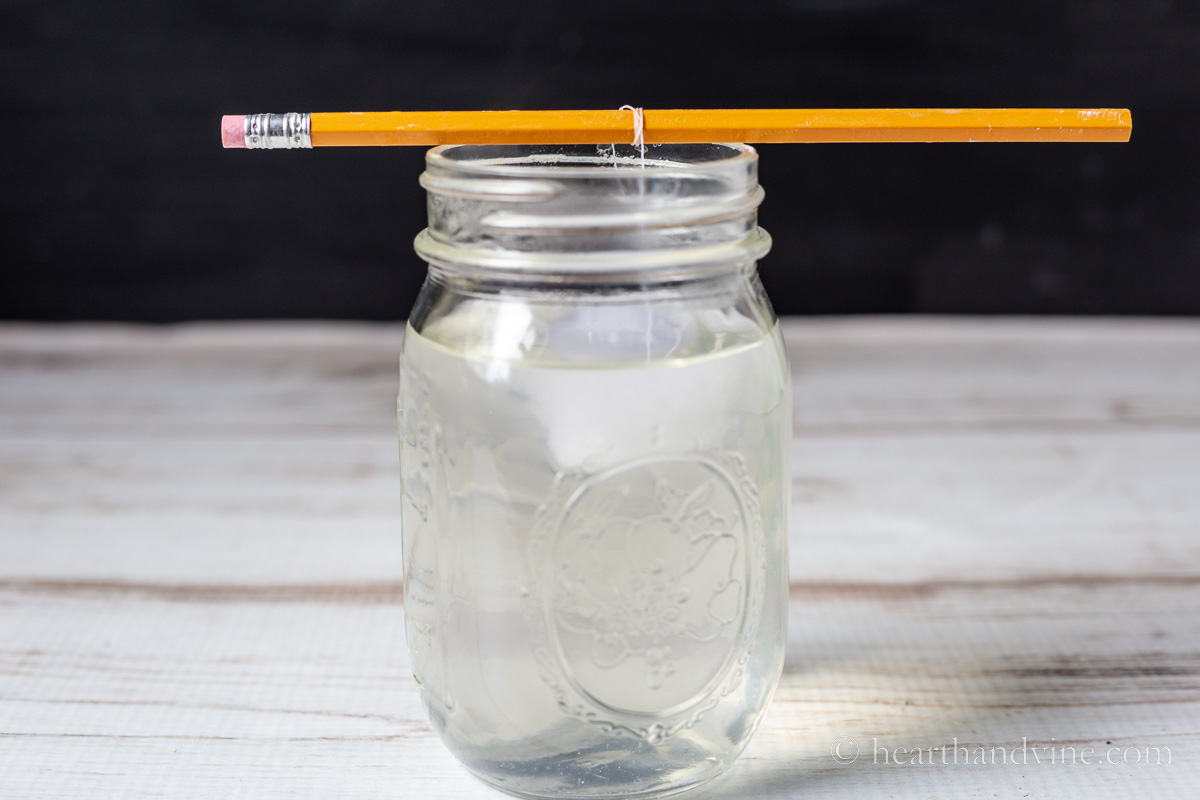 A white pom pom floating to the top of the borax and water solution in a mason jar tied with thread to a pencil.
