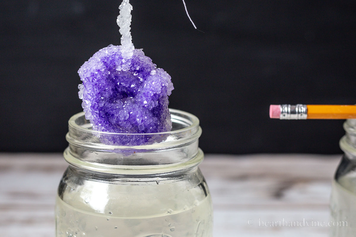 A pipe cleaner shape covered with borax crystals being lifted out of a mason jar.