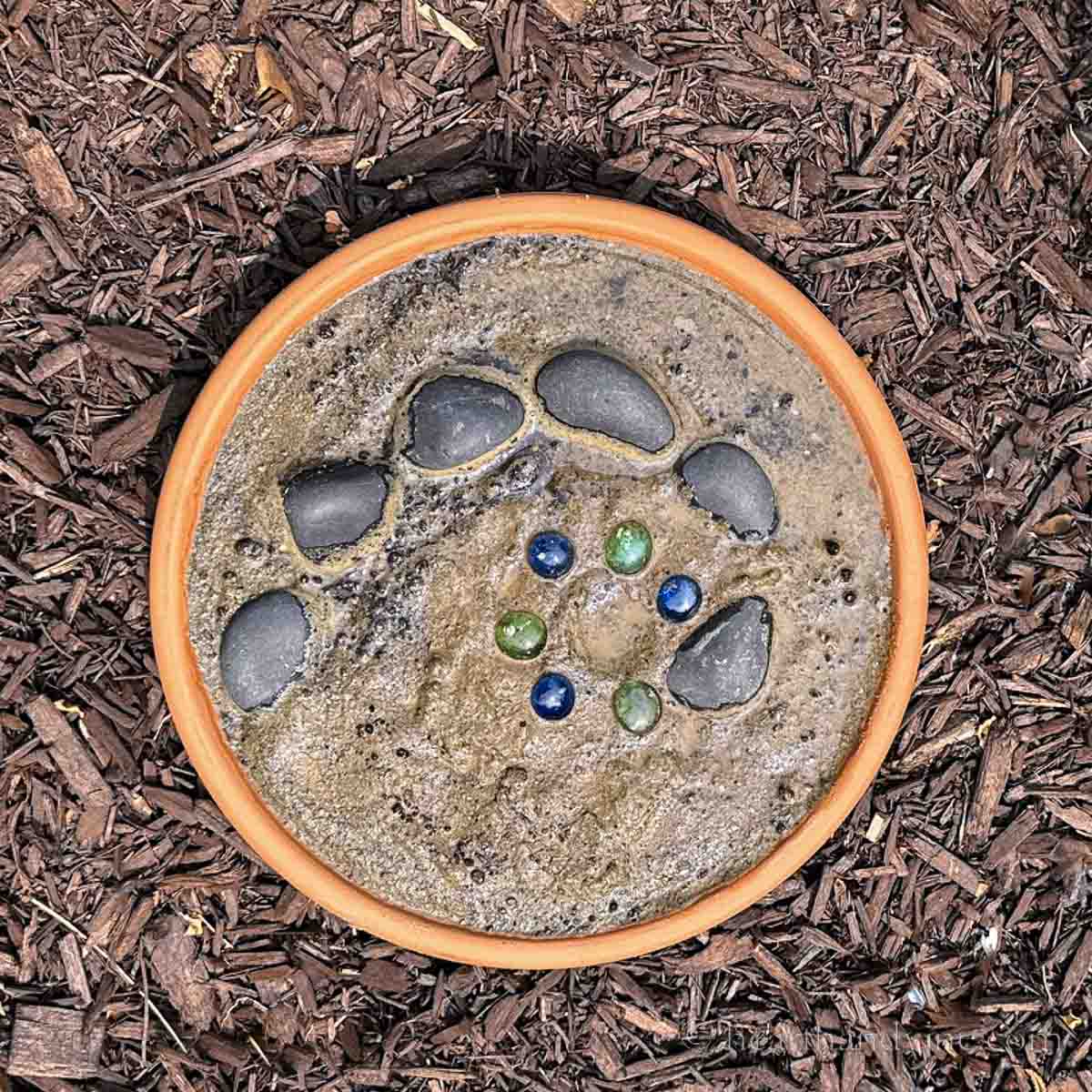 Terra cotta saucer with sand and rocks to create a butterfly puddler.