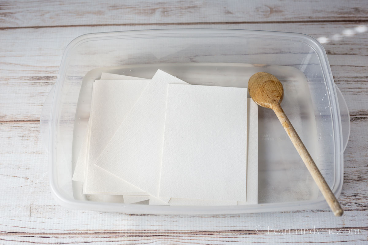 Watercolor cards in a water with alum.