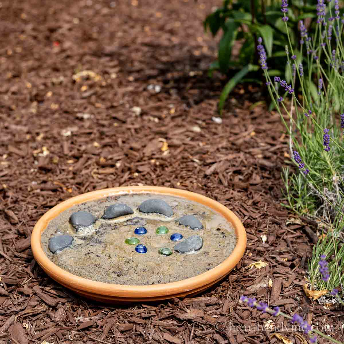 Clay pot sauce with sand, rocks and water in the garden next to lavender.