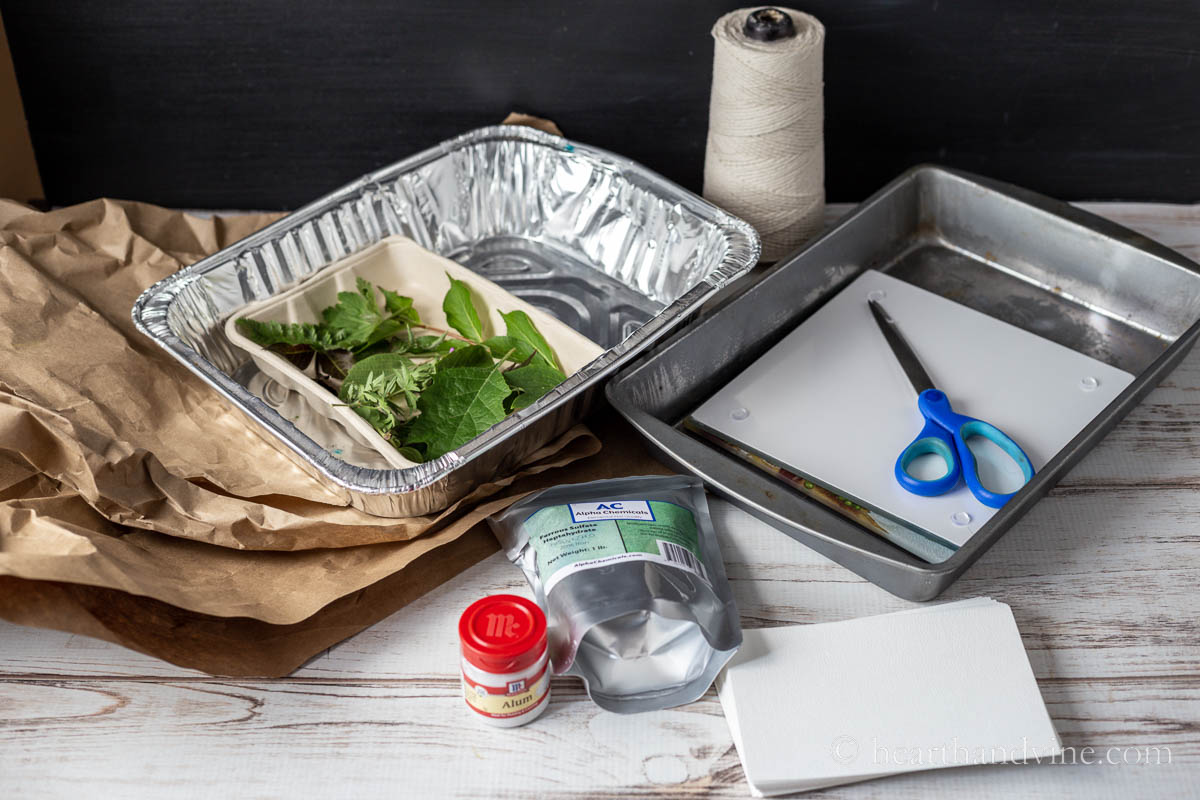 Supplies for eco printing on paper including watercolor cards, alum, scissors, a roasting pan, various leaves, brown paper and more.