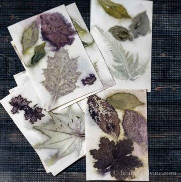 Cards with eco printing of various leaves.
