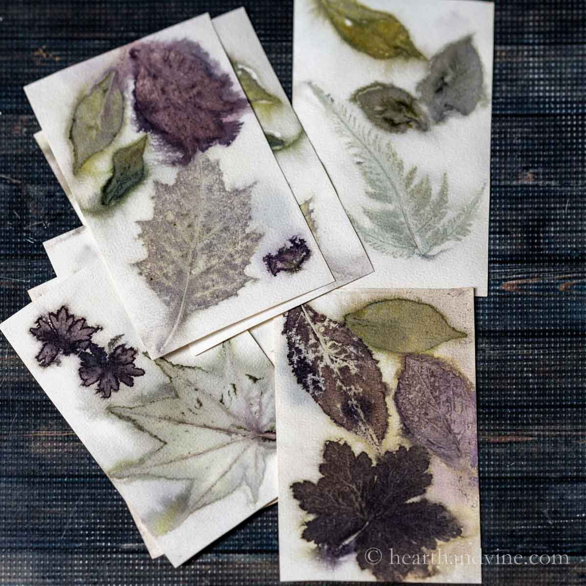 Cards with eco printing of various leaves in shades of green and purple.