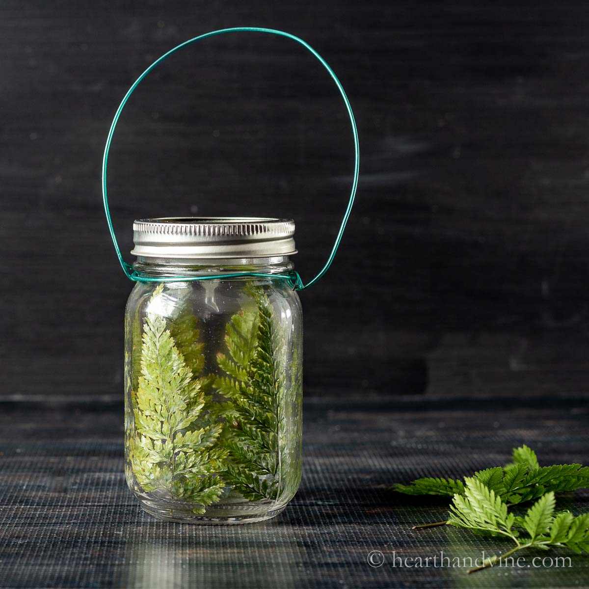 Mason jar lantern with wire handle and pressed ferns inside.