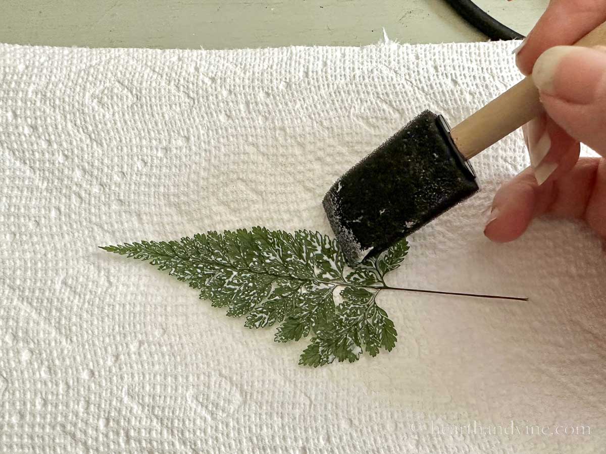 A sponge brush placing clear drying glue on a freshly pressed fern.