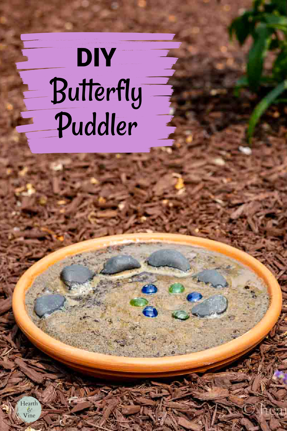 Large terracotta saucer filled with sand, water and stones to create a butterfly puddler.