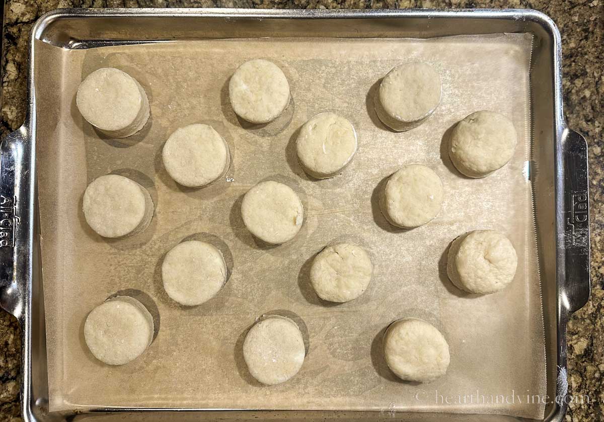 Unbaked scones on a parchment lined baking sheet.