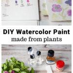 Bottles of homemade watercolor paint and pictures over the supplies including plant material, paper, bottles and alum.