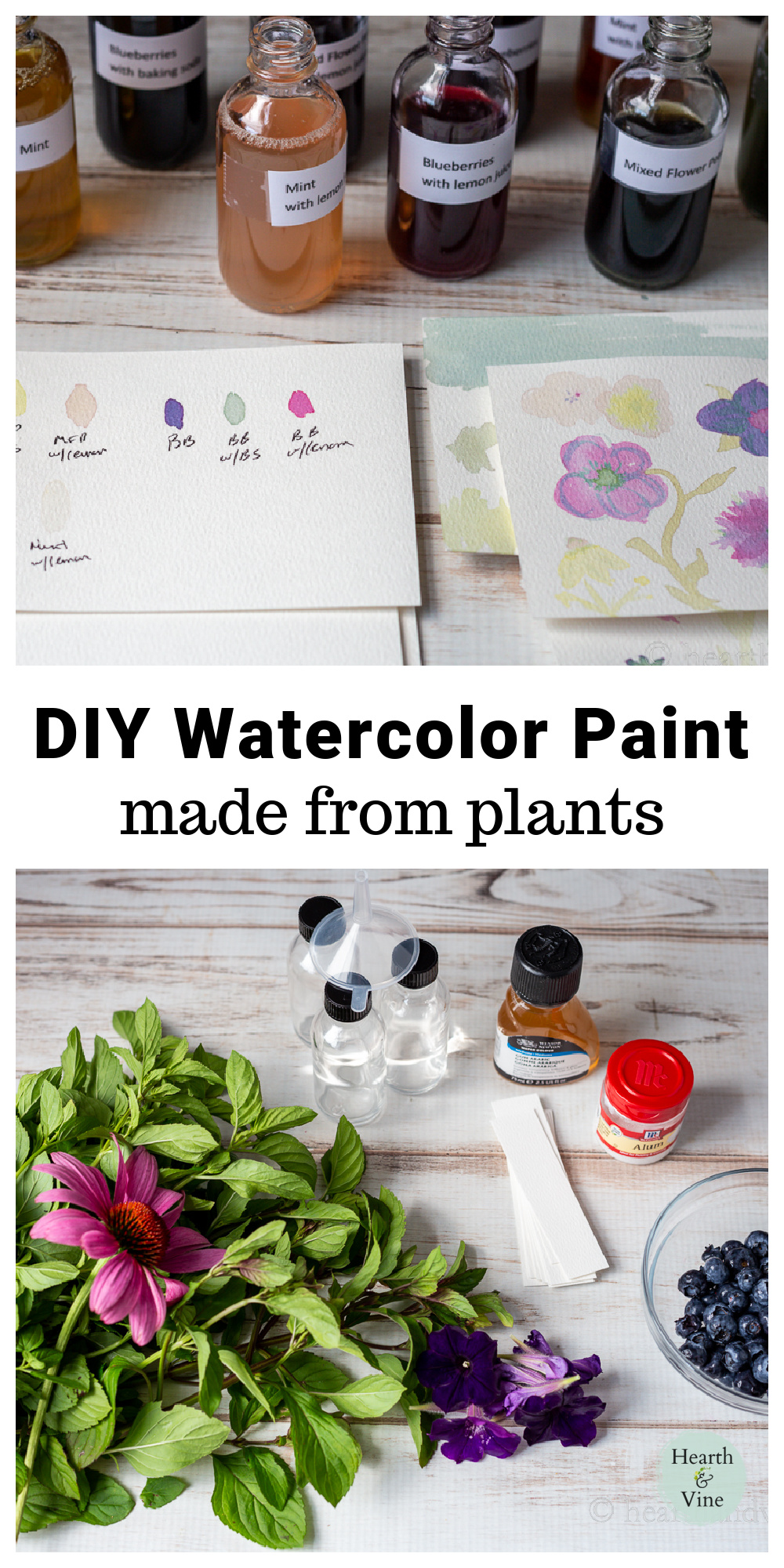 DIY Watercolor Paint from Plants Hearth and Vine