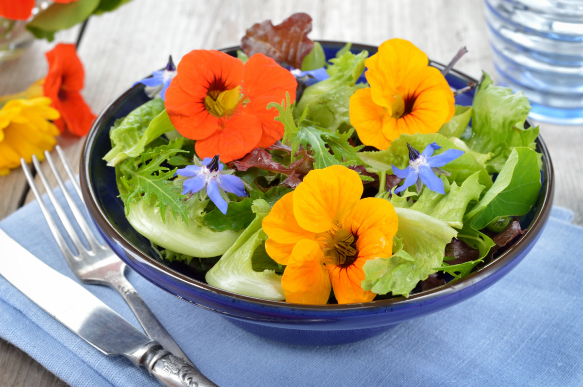 A garden salad with lettuce, large nasturtium flowers, and borage flowers.