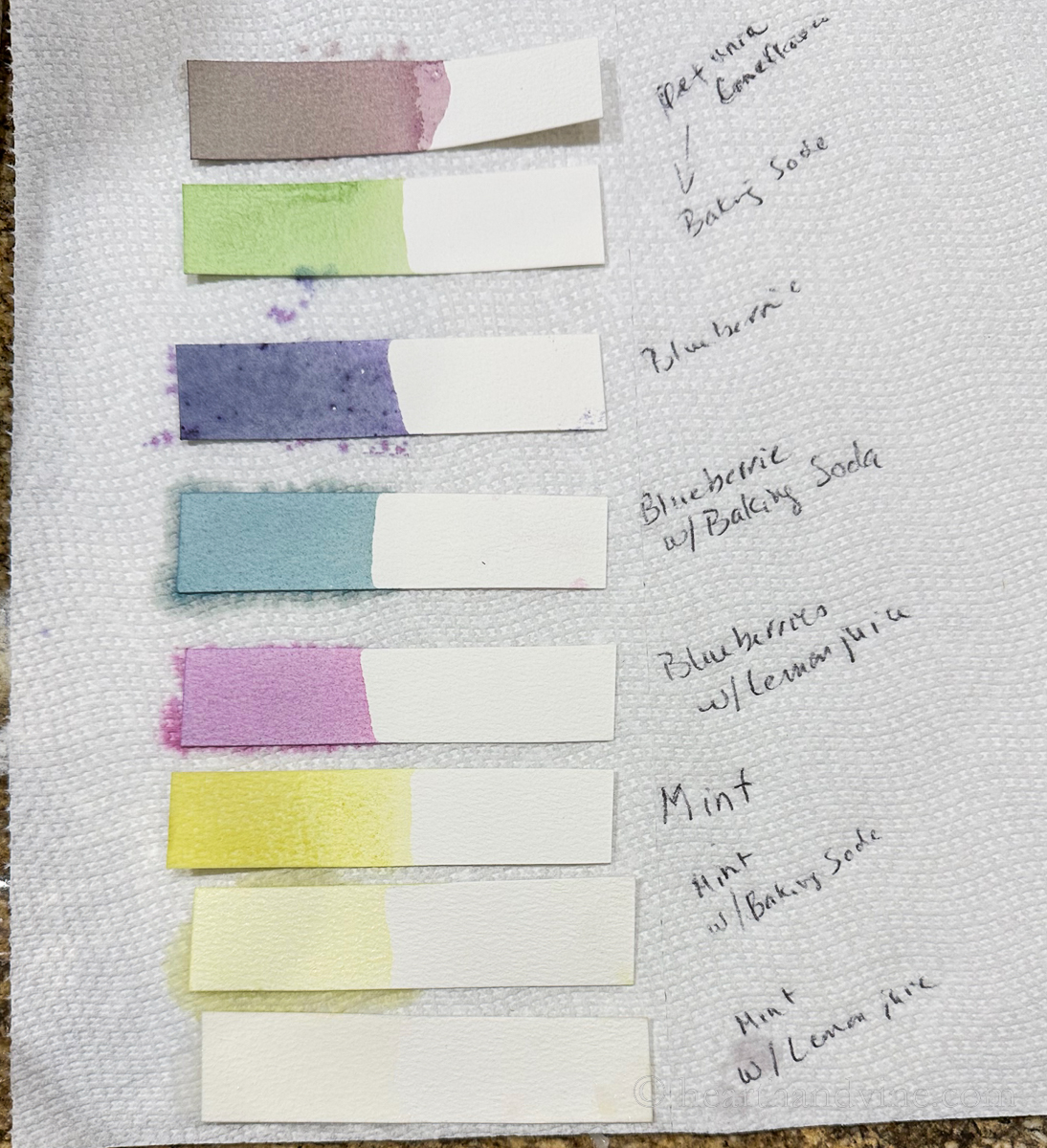 Strips of watercolor paper dipped into different batches of dye. Set on a paper towel and labeled on the side how they were made.