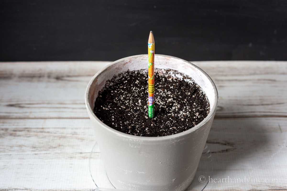 A pencil is inserted into a pot of soil to make a hole for planting seeds.