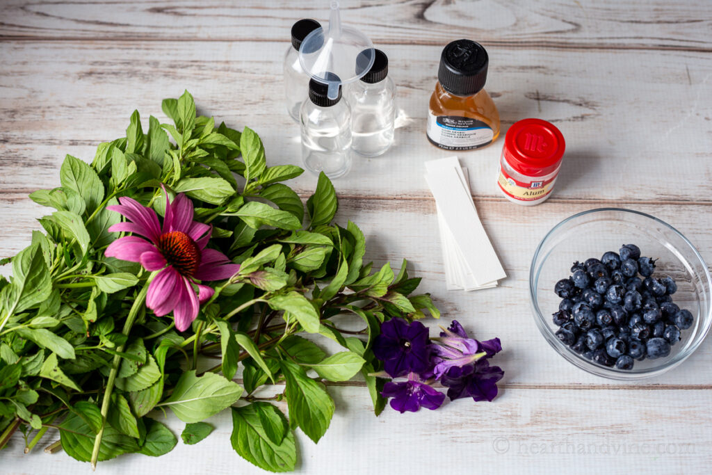 DIY Watercolor Paint from Plants Hearth and Vine