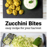 Zucchini balls on slate next to a bowl of horsey sauce over shredded zucchini.