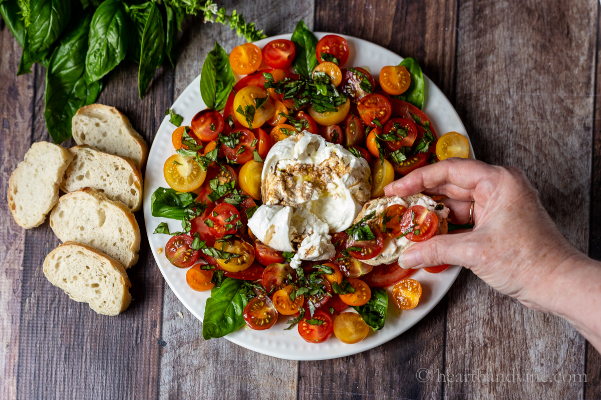 Caprese burrata salad with a hand holding a sliced baguette round topped with burrata cheese, tomatoes and chopped basil.