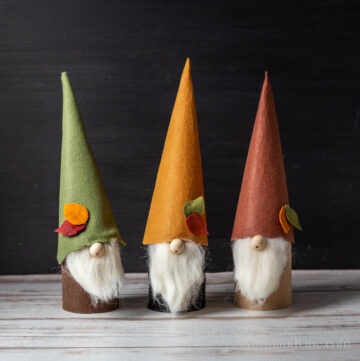 Three fall gnomes on a table.