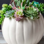 White foam pumpkin with faux succulents in the top.