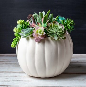 White foam pumpkin with faux succulent plants in the top.