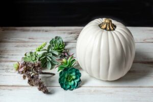 Faux Succulent Centerpiece Pumpkin | Hearth and Vine
