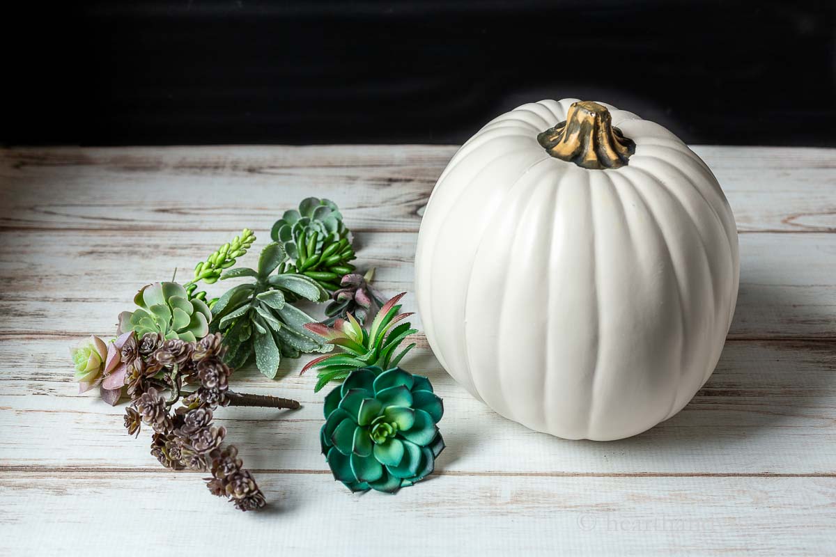 A set of faux succulents next to a foam white pumpkin.