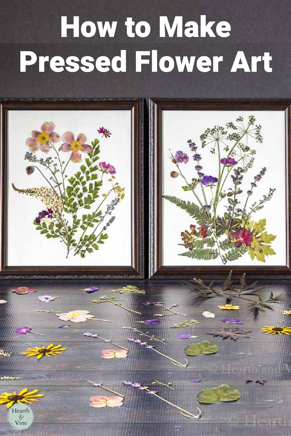 Two framed pressed flowers arranged as artwork.