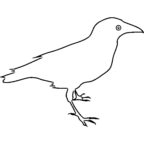 Raven outline image.