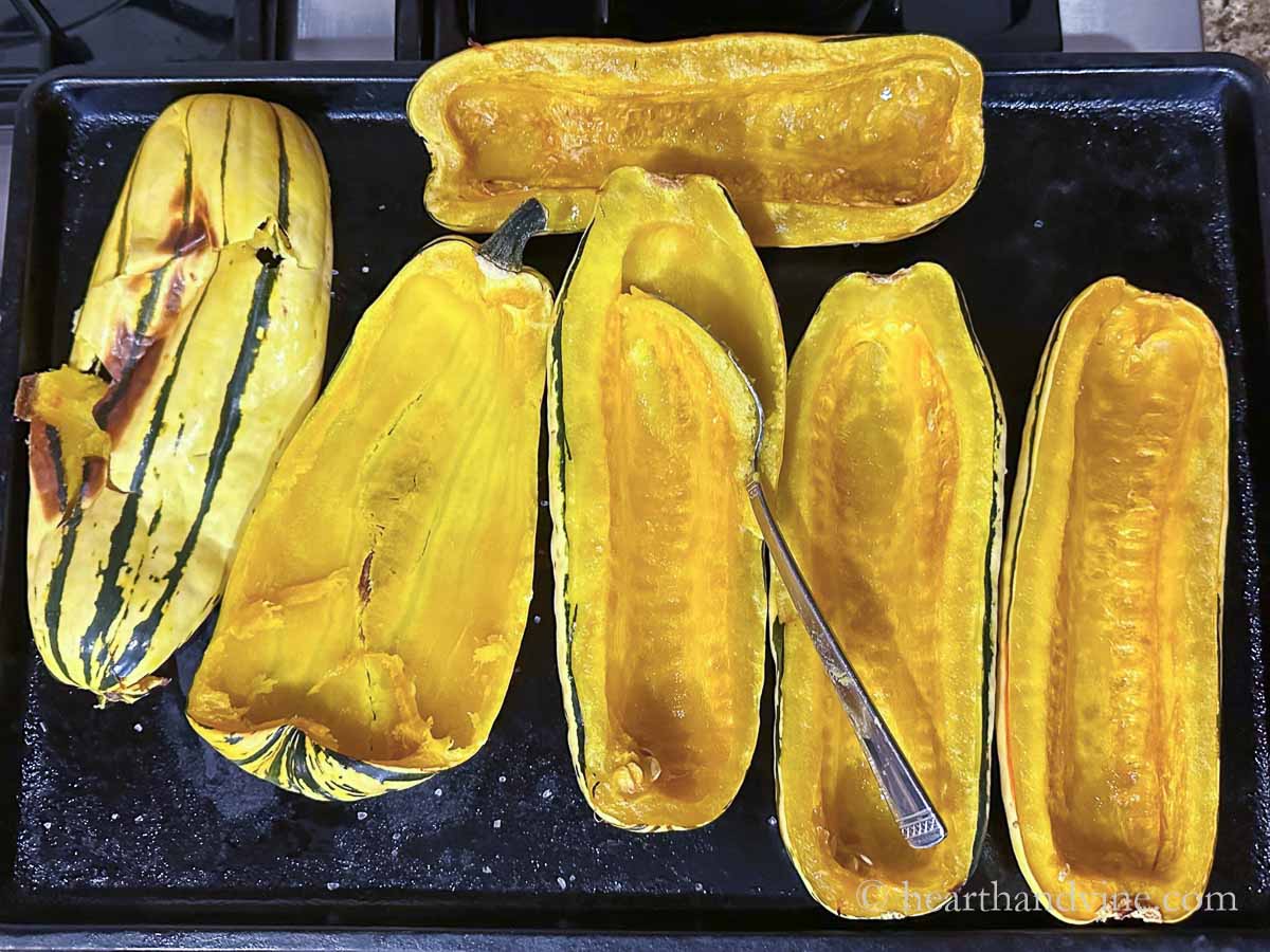 A large spoon scooping out roasted delicata squash flesh.