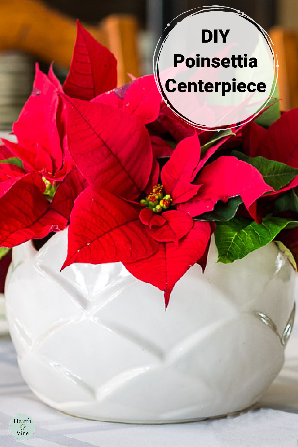 Red poinsettia flowers in a white vase.