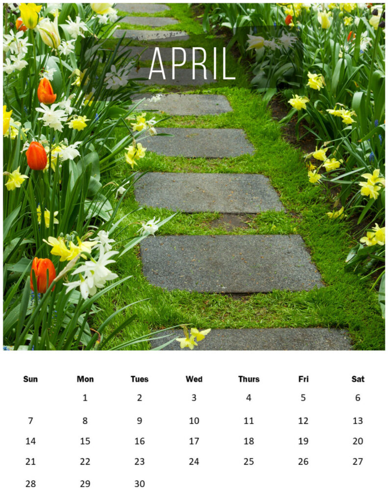 Tulips along a path with the month of April dates below.