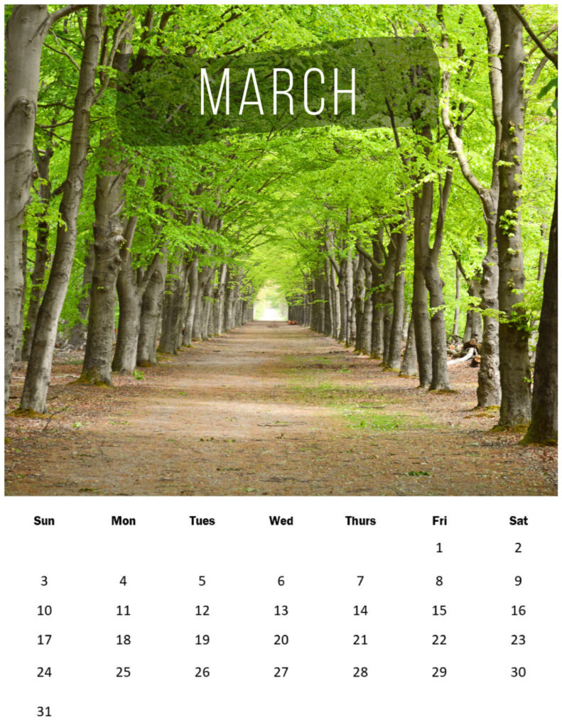 Green leaved trees in a path with a March 2024 calendar below.