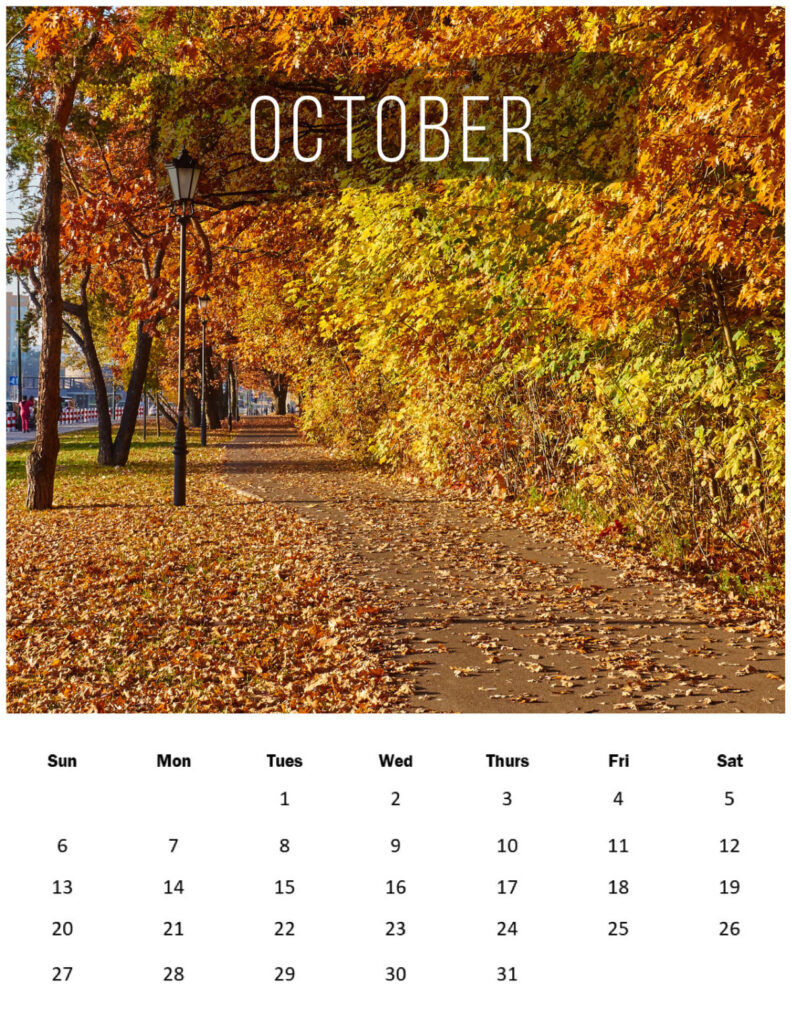A path with autumn colored trees and the dates for the month of October 2024.